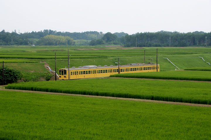 近江鉄道ビール列車「近江ビア電2018」