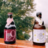 和のエールビール「馨和 KAGUA」から限定醸造品2種が発売！