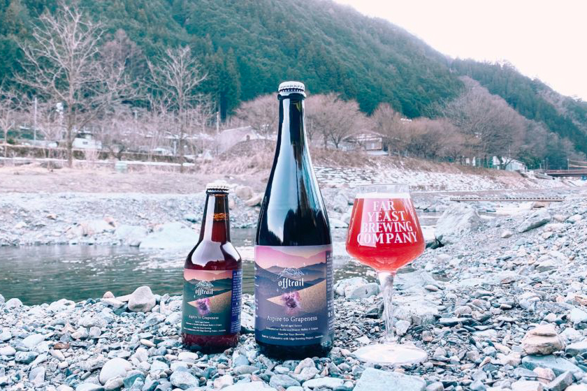 Far Yeast Brewing「Aspire to Grapeness（アスパイア・トゥ・グレープネス） 」