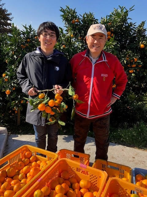 キリンhd磯崎社長の温州みかんを使用 代官山のsvbが発泡酒 キリンhd磯崎社長の温州みかんを使用 代官山のsvbが発泡酒