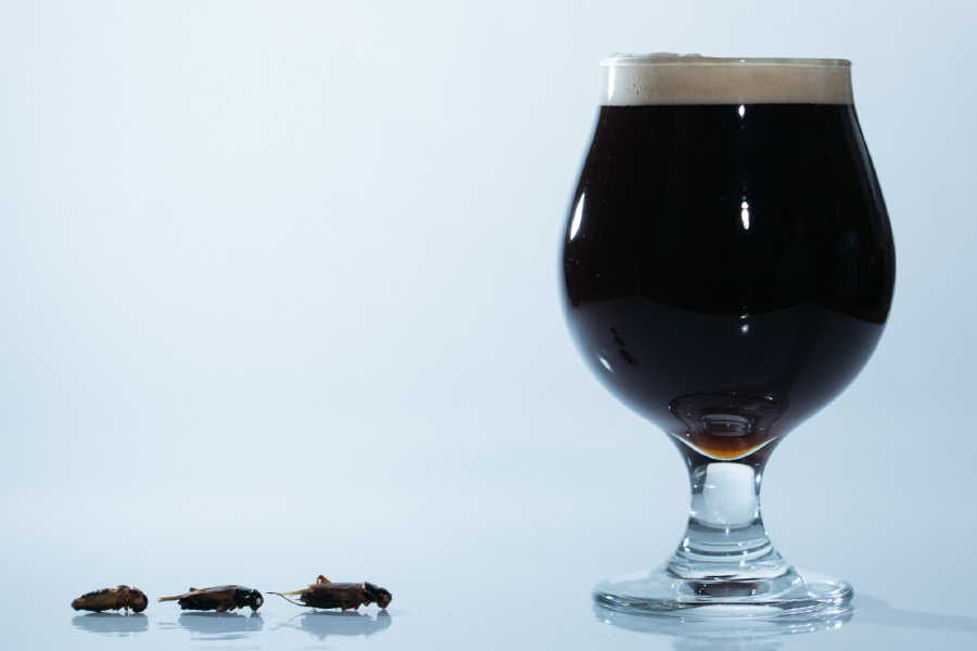 遠野醸造&ANTCICADA「コオロギビール / Cricket Dark Ale」