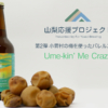 Far Yeast Brewing「Ume-kin’ Me Crazy!」