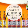 【リュウジのバズレシピコラボ限定】クラフトビール9本セット