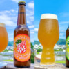 パパイヤ＆バナナ使用のヘイジーIPA2種発売！醸造は反射炉ビヤ