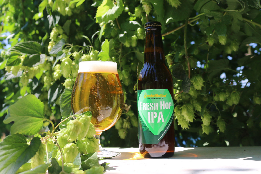 サンクトガーレン「フレッシュホップIPA」