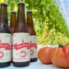 金澤ブルワリー、トレジャーふぁーむ「TOMATO ALE-トマトエール」