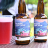 IB BREWING、7 Bridges Brewing「Pink Vietnam Sour」