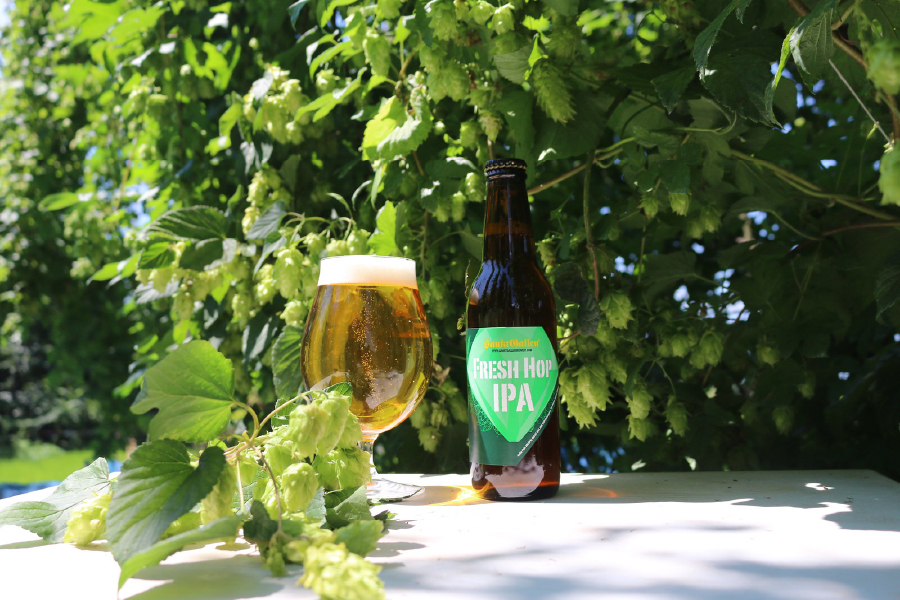 サンクトガーレン「フレッシュホップIPA」