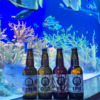 新江ノ島水族館「おふたりさま水族館 ～クラフトビールでほろよいナイト～」