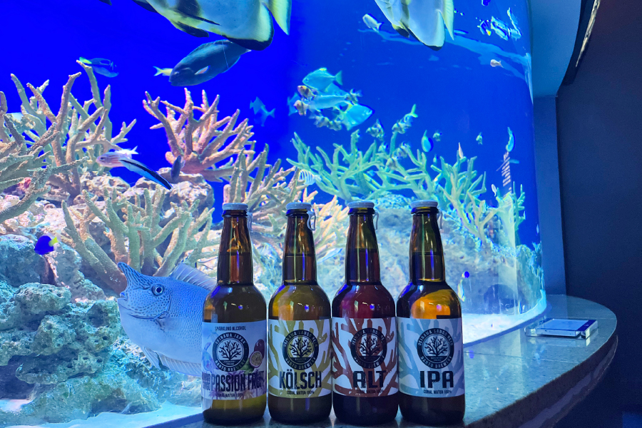 新江ノ島水族館、クラフトビール片手に楽しむ夜のイベント開催!