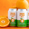 NUMBER NINE BREWERY「DAIDAI CITRUS ALE」