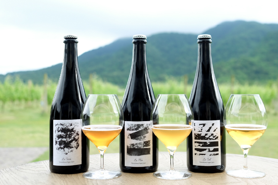 CAVE D’OCCI BREWING「Croix -クロワ-」