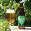 サンクトガーレン「FRESH HOP IPA（フレッシュ ホップ アイピーエー）」