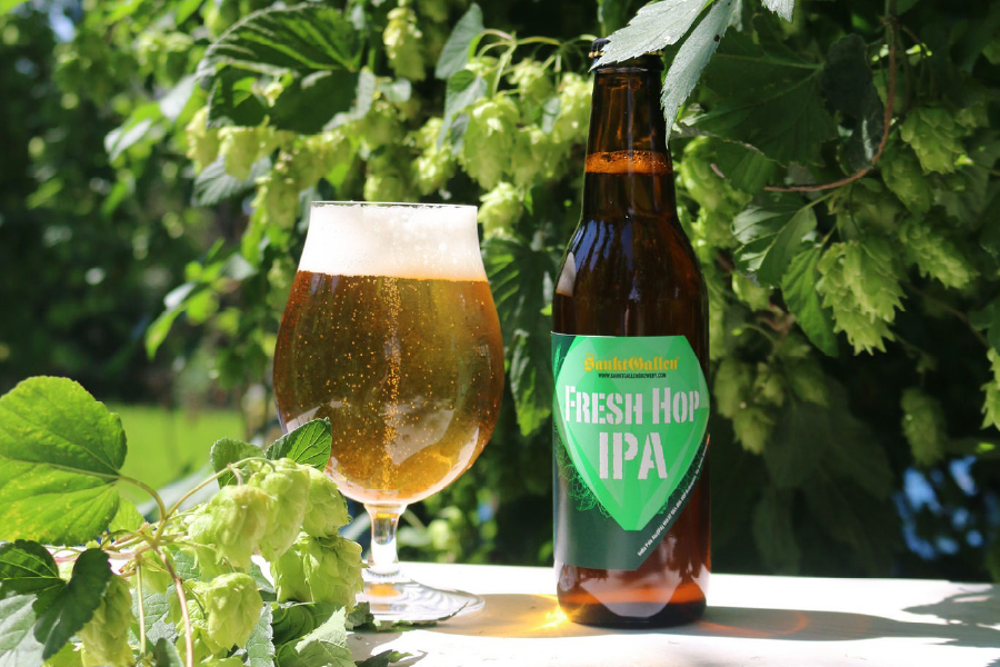 サンクトガーレン「FRESH HOP IPA(フレッシュ ホップ アイピーエー)」