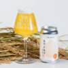 Far Yeast Brewing「Far Yeast もりともり RICE ALE（ファーイースト もりともりライスエール）」