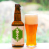 丹後王国ブルワリーが｢桑の葉｣使ったクラフトビール限定発売！