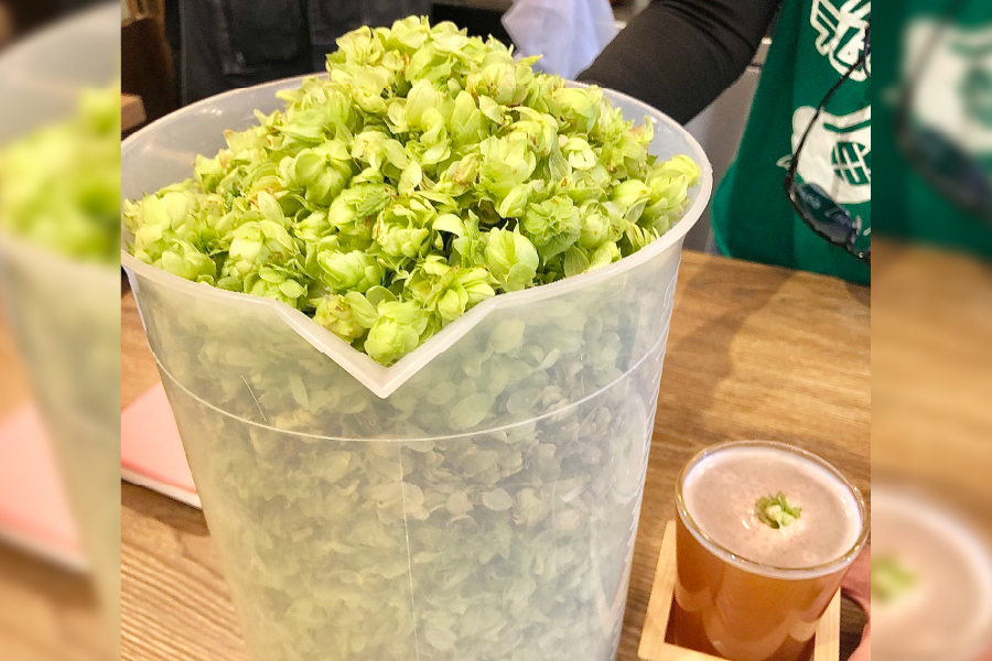 シノバズブルワリー ひつじあいす「しのばずホップPJ」