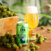 サッポロビール「HOPPIN’ GARAGE ホッピンIPA（アイピーエー）」