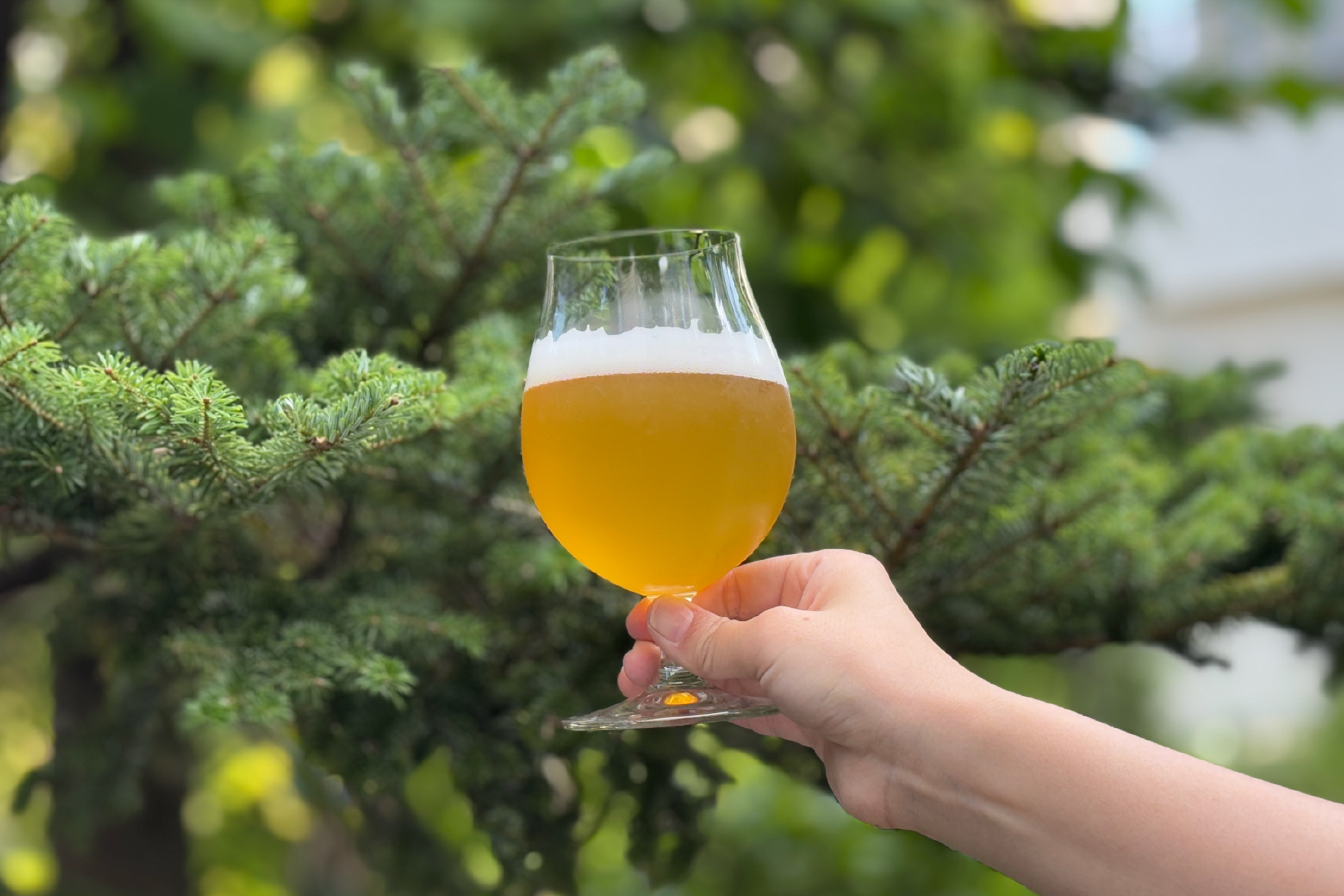 ヤッホーブルーイング「Forest Echo IPA」