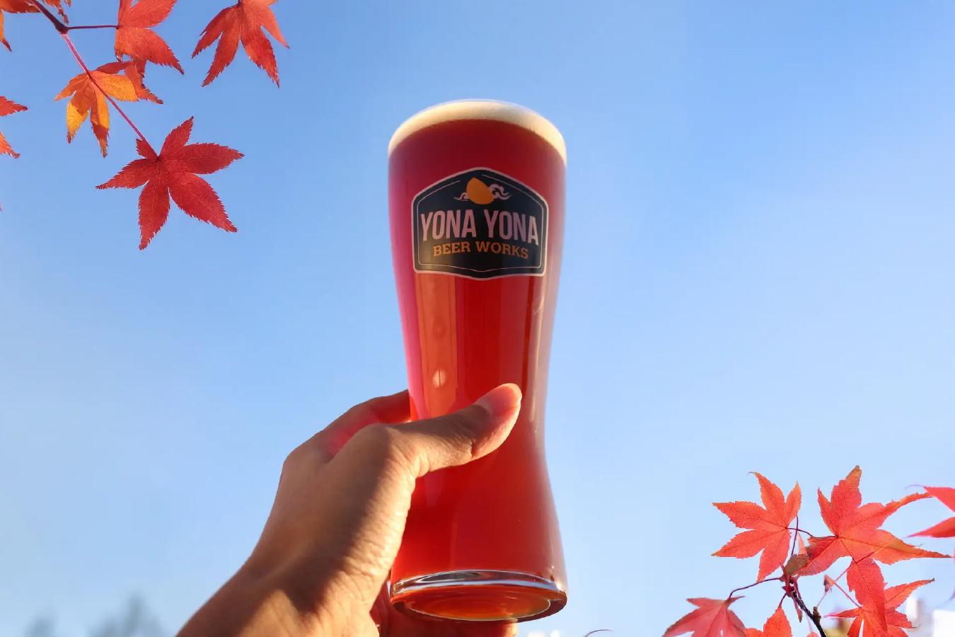 よなよなビアワークス「WORKS Ale #45 thx :) Blue Mountain Ale」