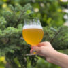 ヤッホーブルーイング「Forest Echo IPA」