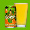 ヤッホーブルーイング「SORRY MIKAN CITRUS ALE（ソーリーミカンシトラスエール）」